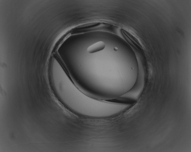 X0000090961024200708021412