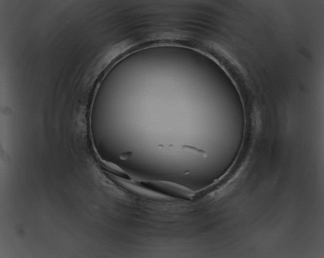 X0000090961025200708021412
