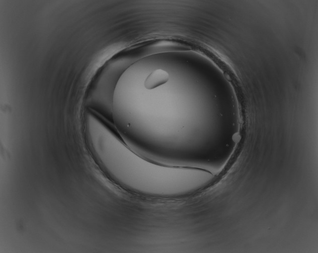 X0000090961026200708021412
