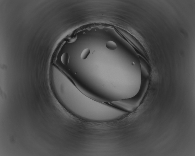 X0000090961028200708021412