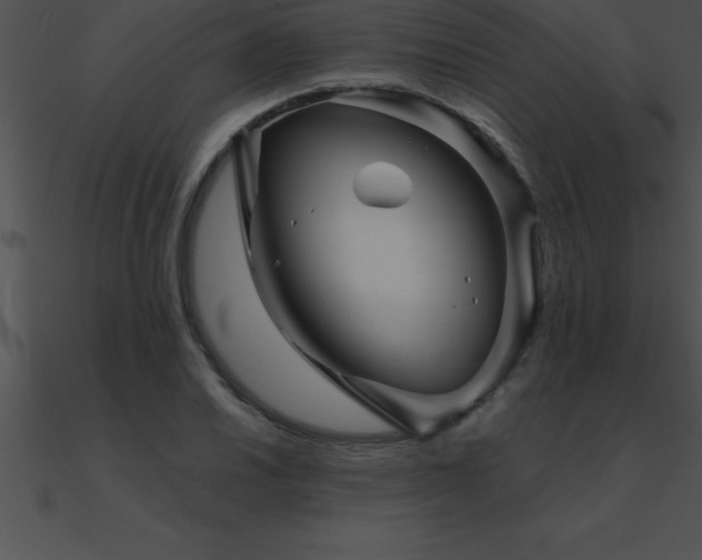 X0000090961030200708021412