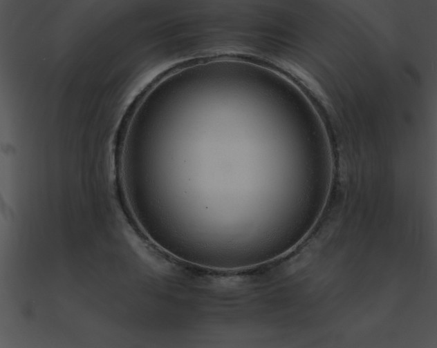 X0000090961031200708021412