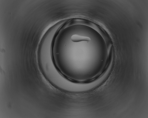 X0000090961032200708021412