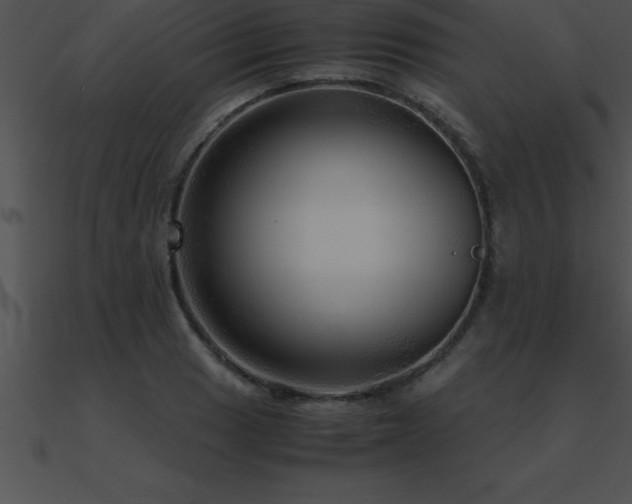 X0000090961033200708021412