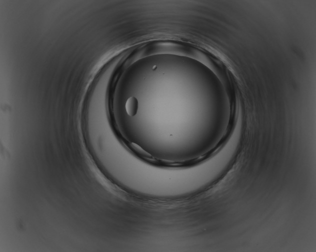 X0000090961034200708021412