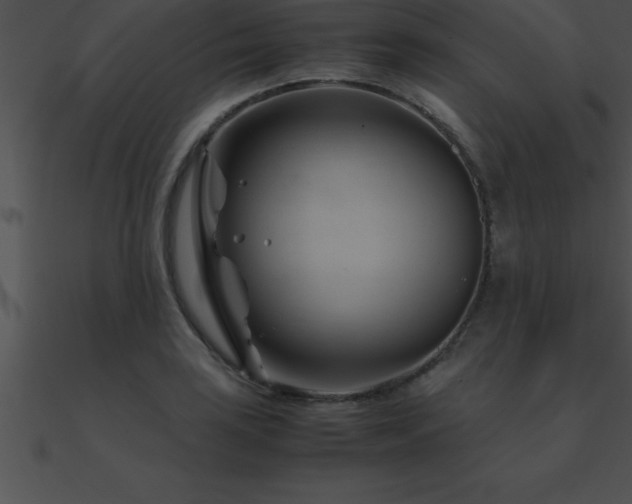 X0000090961035200708021412