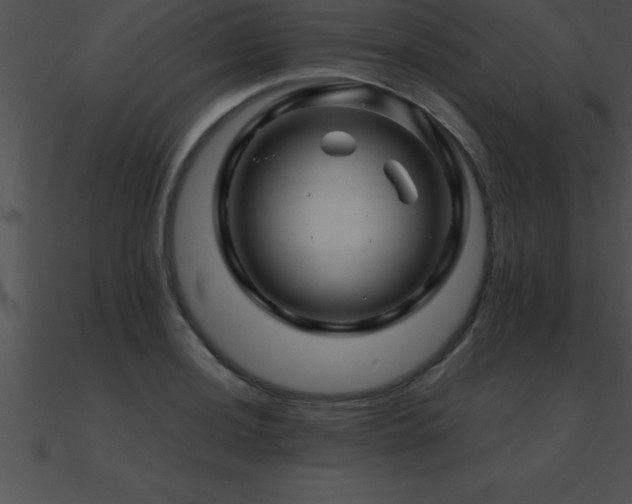 X0000090961036200708021412