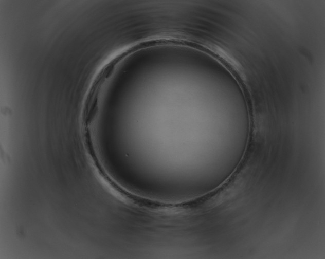 X0000090961037200708021412