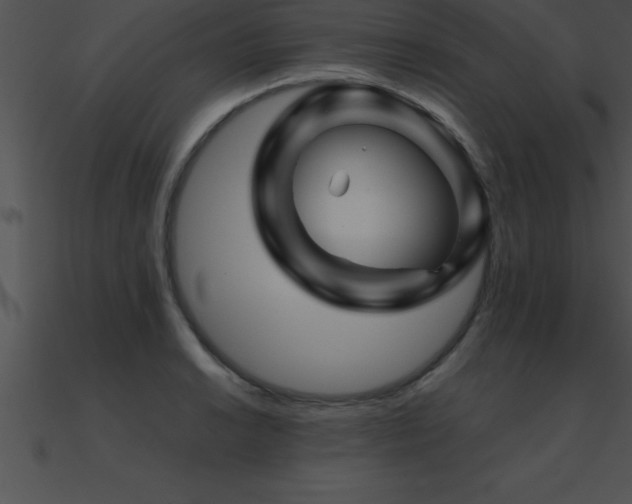 X0000090961038200708021412