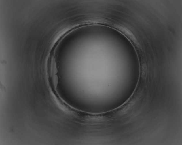 X0000090961039200708021412