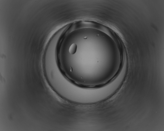 X0000090961040200708021412