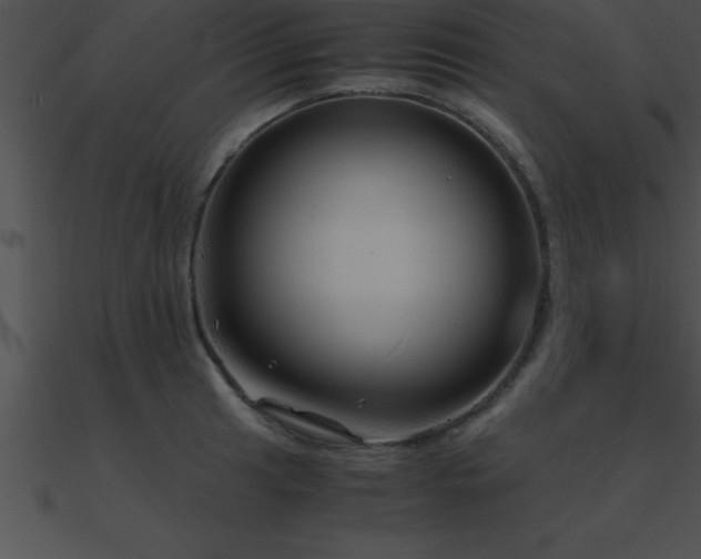 X0000090961041200708021412