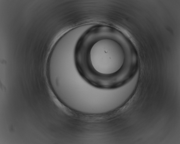 X0000090961042200708021412