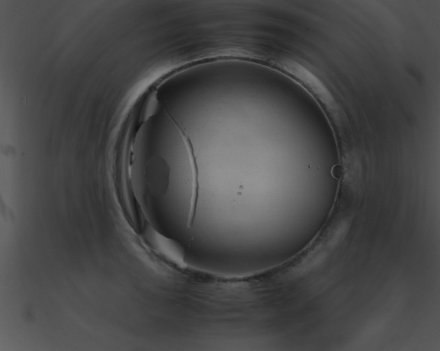 X0000090961043200708021412