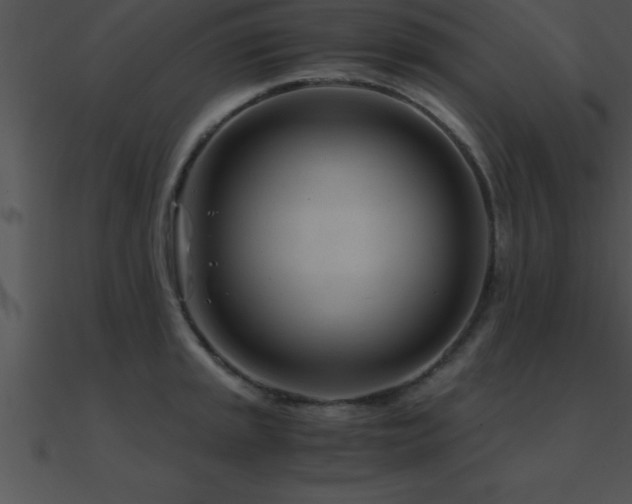 X0000090961045200708021412