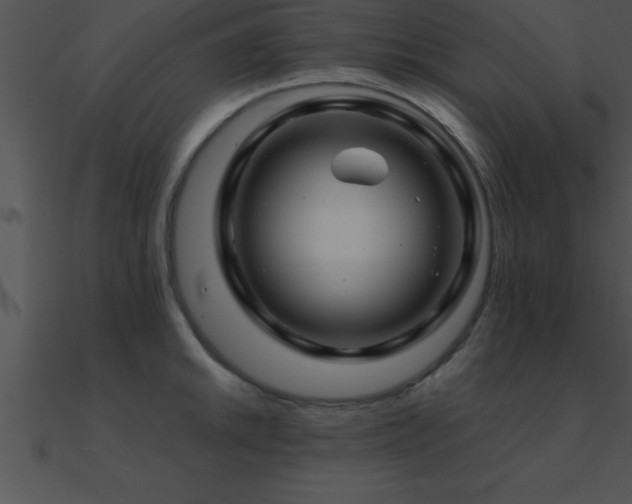 X0000090961046200708021412