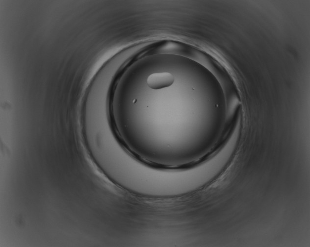 X0000090961048200708021412