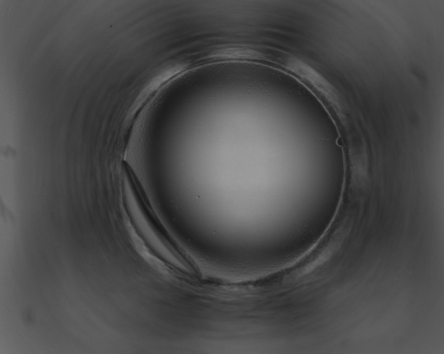 X0000090961049200708021412