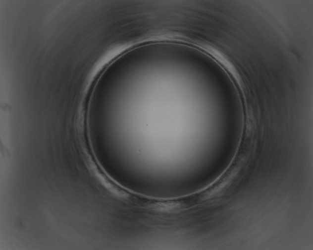 X0000090961053200708021412