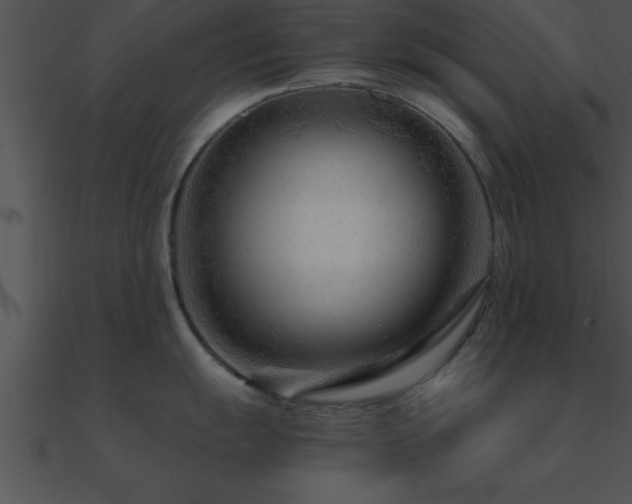 X0000090961055200708021412