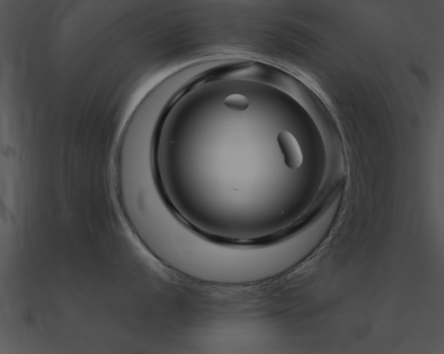 X0000090961056200708021412