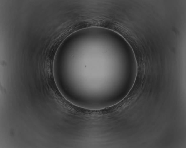 X0000090961058200708021411