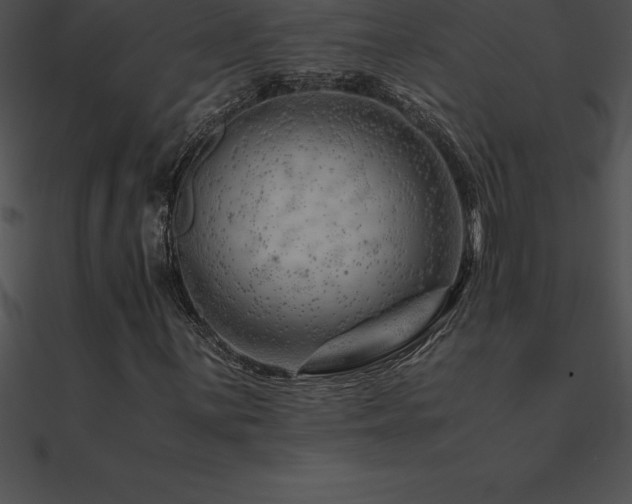 X0000090961059200708021411