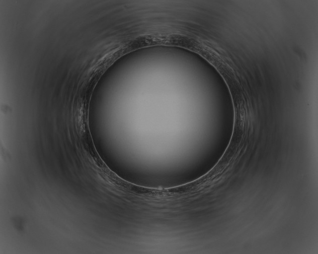 X0000090961060200708021411