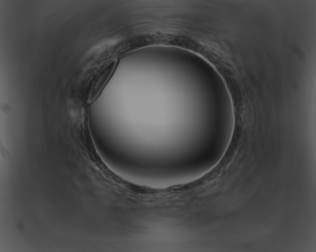 X0000090961061200708021411