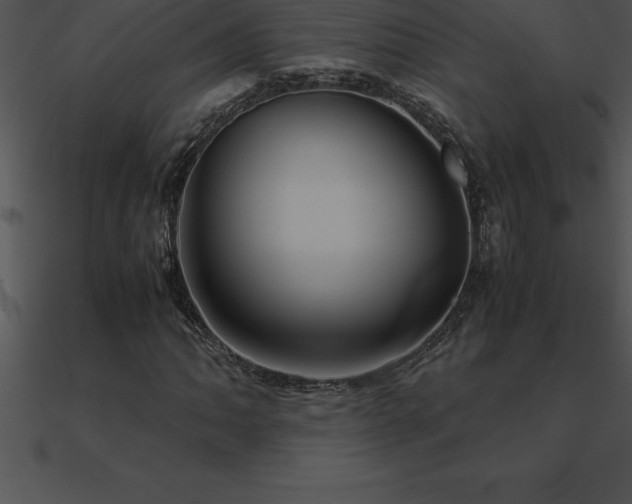 X0000090961062200708021411