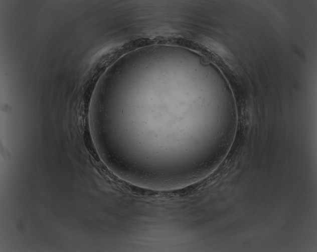 X0000090961063200708021411