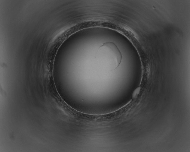 X0000090961064200708021411