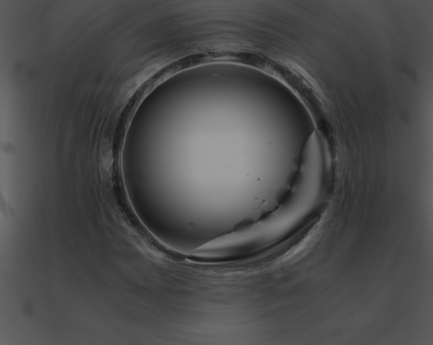 X0000090961065200708021411