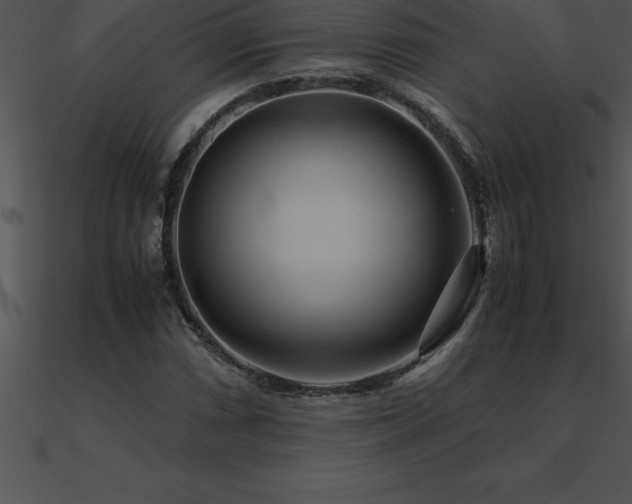 X0000090961066200708021411