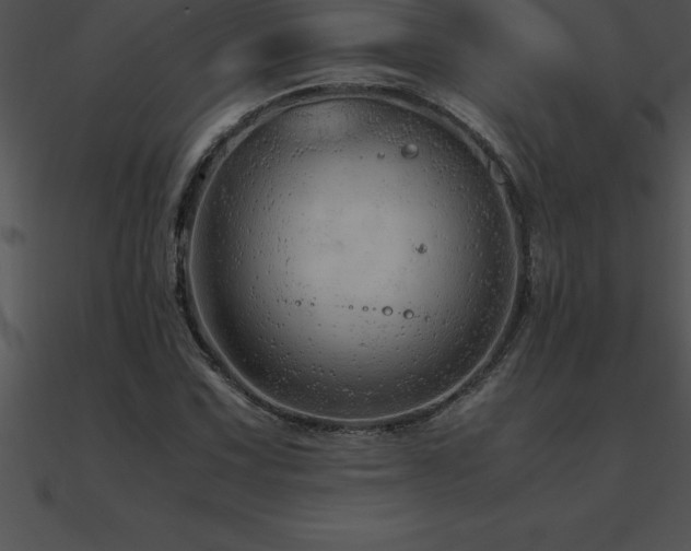 X0000090961067200708021411