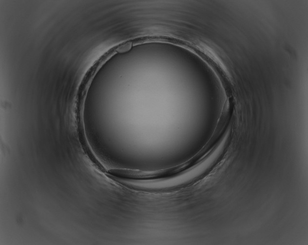 X0000090961068200708021411