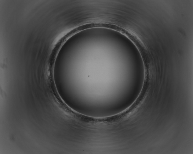 X0000090961070200708021411
