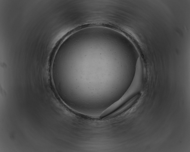 X0000090961071200708021411