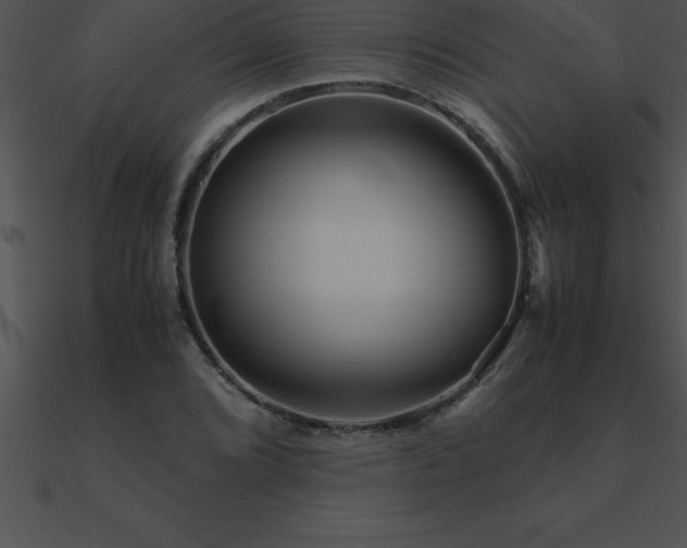 X0000090961072200708021411