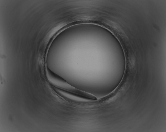X0000090961073200708021411