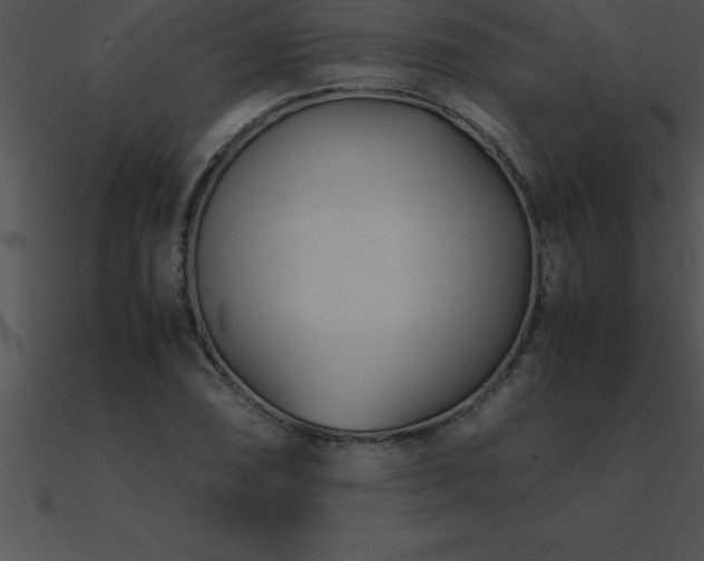 X0000090961074200708021411