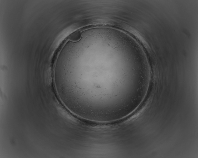 X0000090961075200708021411