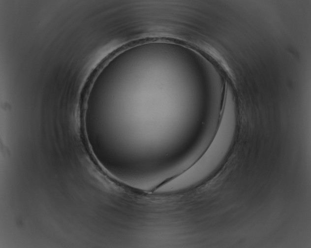 X0000090961076200708021411