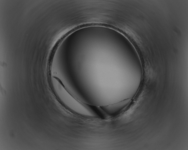 X0000090961077200708021411