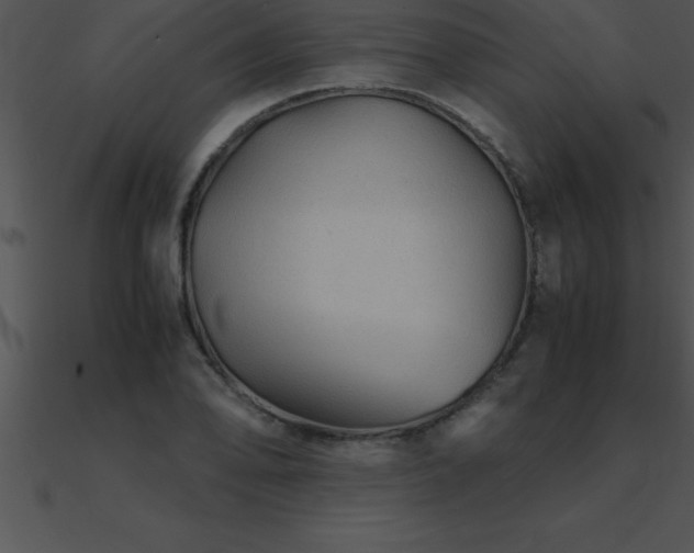 X0000090961078200708021411