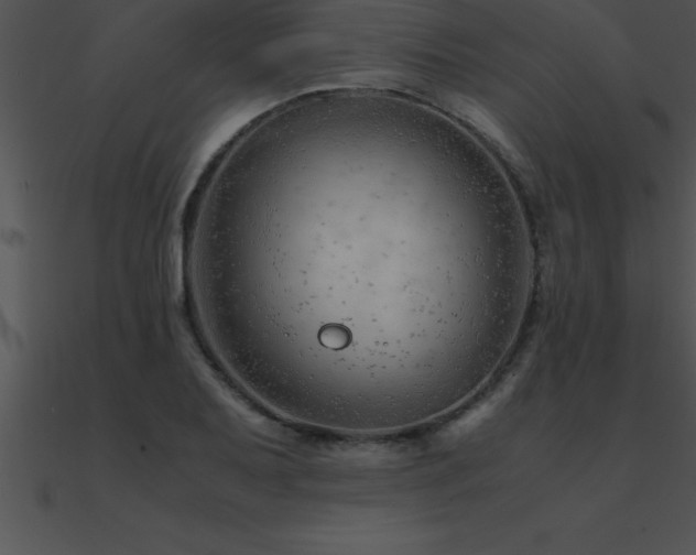 X0000090961079200708021411
