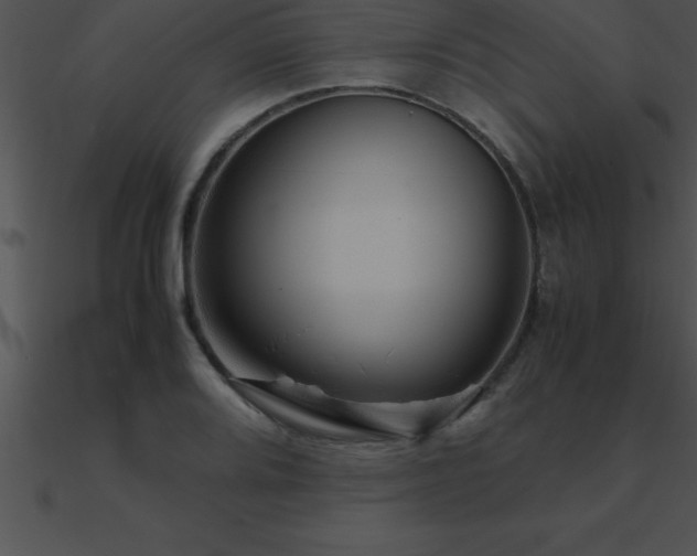 X0000090961080200708021411