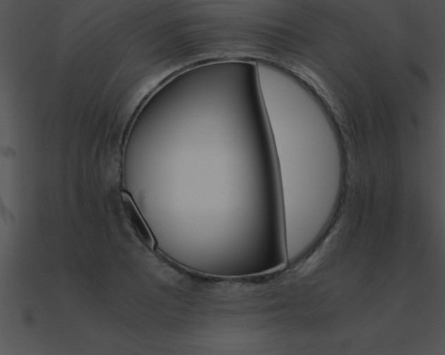 X0000090961081200708021411
