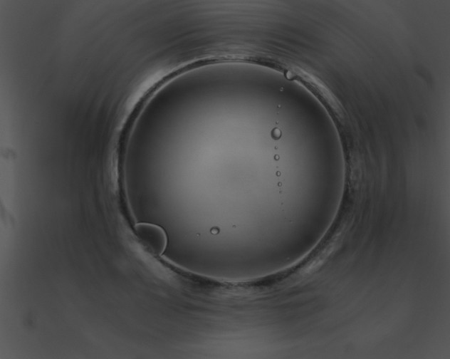 X0000090961083200708021411