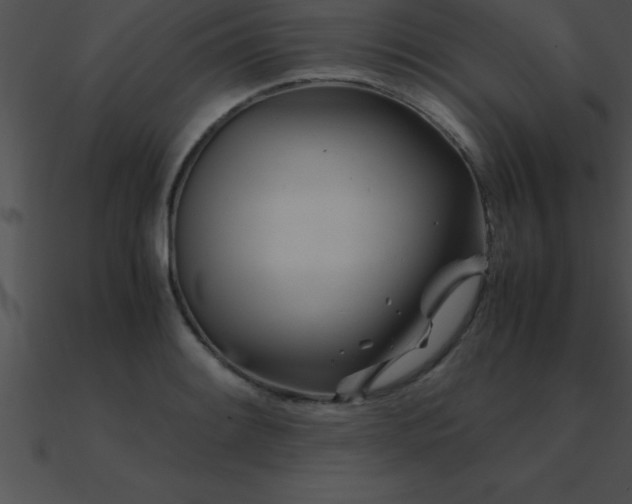 X0000090961084200708021411